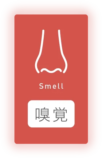 駅近建売！福岡市南区プロスぺリテ井尻Ⅵのアレスシックイの嗅覚について