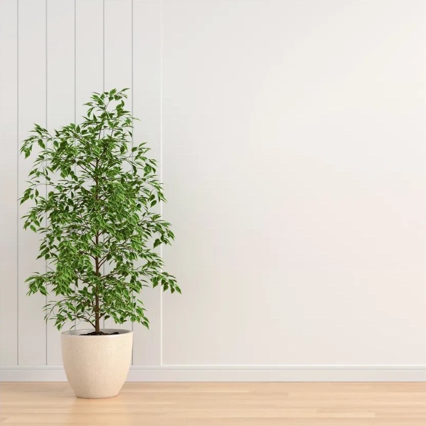 駅近建売！福岡市南区プロスぺリテ井尻Ⅵのインドアグリーンの聴覚イメージ