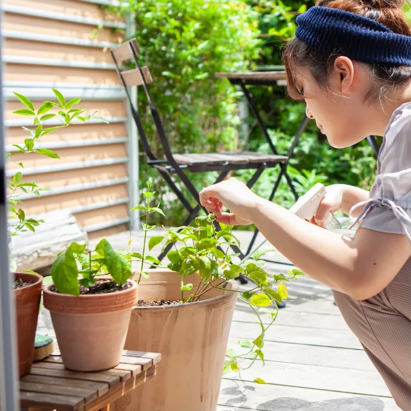 駅近建売！福岡市南区プロスぺリテ井尻Ⅵの家庭菜園の味覚イメージ