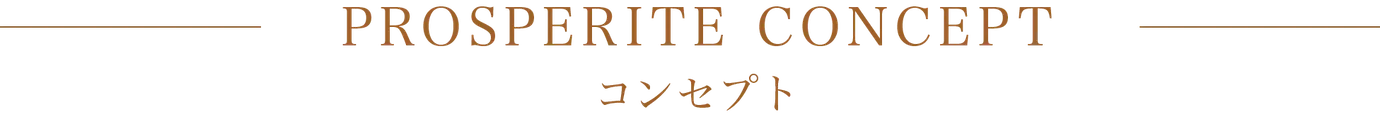 福岡市南区プロスぺリテ井尻Ⅵ新築戸建てのコンセプト